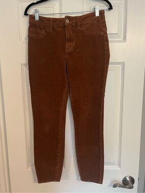 Pilcro and the Letterpress Skinny Corduroy Jeans in Brown